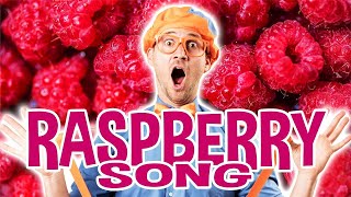 Blippi Raspberry Song - Blippi Videos - Educational Videos for Kids | Songs For Kids
