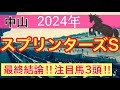 【スプリンターズステークス2024】蓮の競馬予想(最終結論)