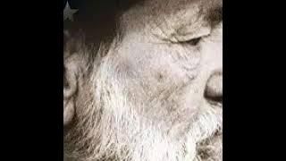 Willie Nelson ~ Crazy ( K-Rose )