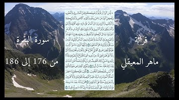 سورة البقرة من 176 إلى 186 ماهر المعيقلي