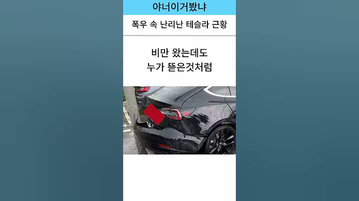 폭우 속 테슬라 근황#shorts #쇼츠#이슈