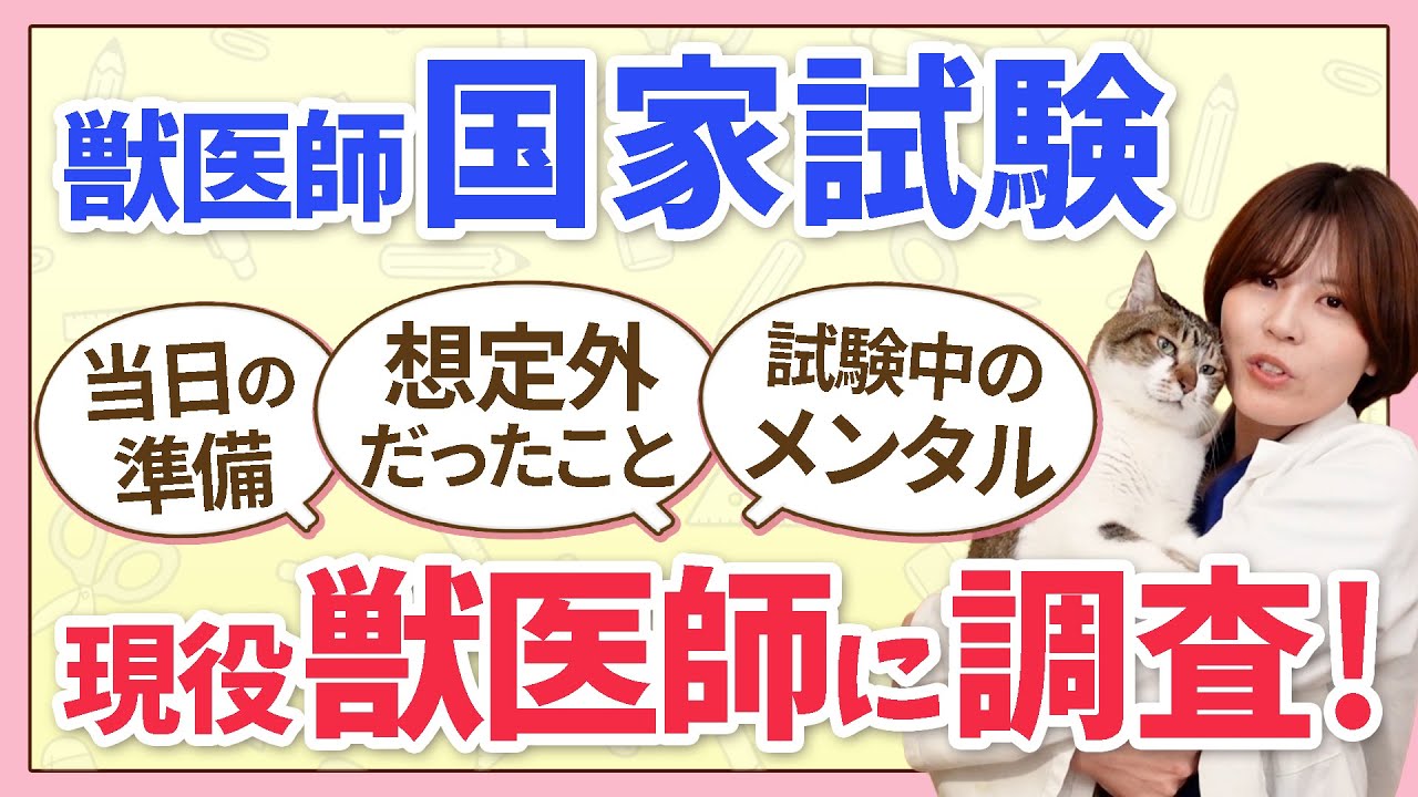 獣医師国家試験】を控えた皆さんにどうしても見てほしい！ 先輩・現役