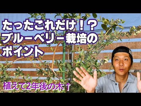 MILAND FARM（ミランダファーム）の紹介動画サムネイル
