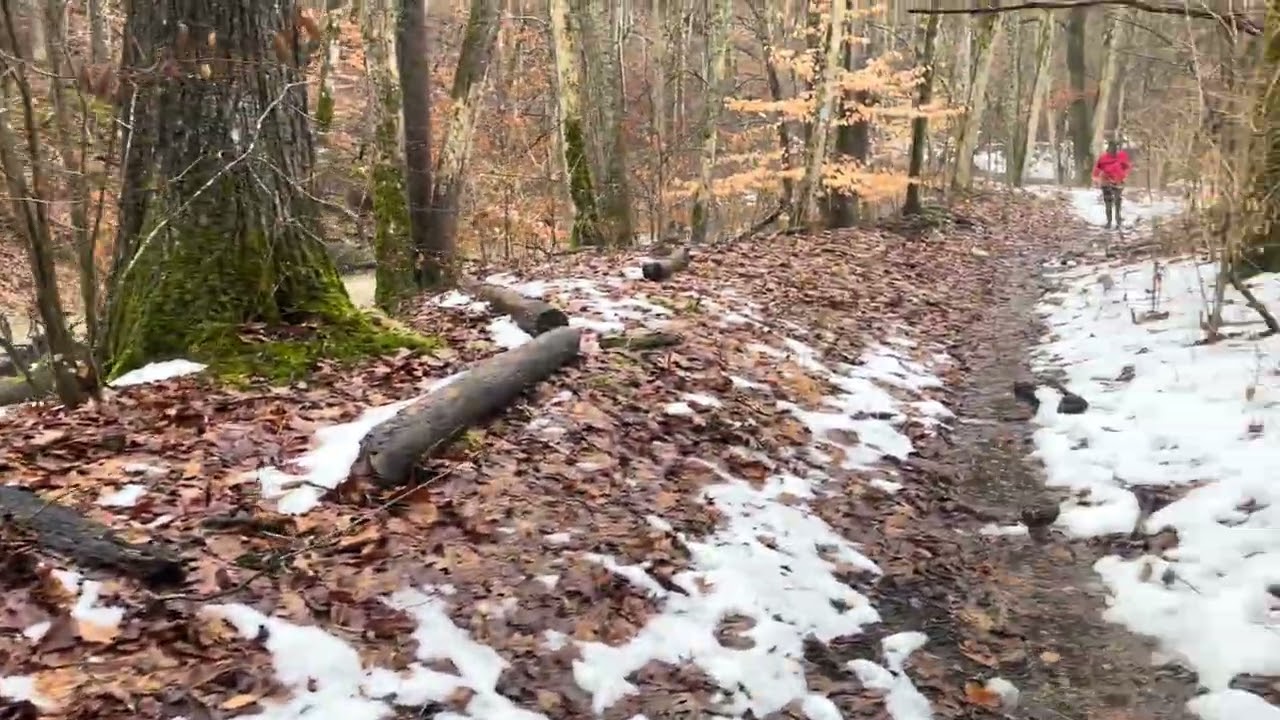 ￼ Peaceful walk along the beautiful creek in east fork Ohio.