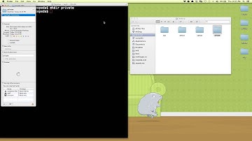Folder Permissions For Groups, Others and User via Terminal