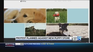 Protest planned against proposed puppy store in Grandville