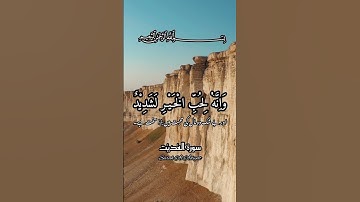 سورة العاديات۔ Surah Al Adiyat القرآن الکریم #القرآن_الكريم #quranpak #reels #islamicstatus