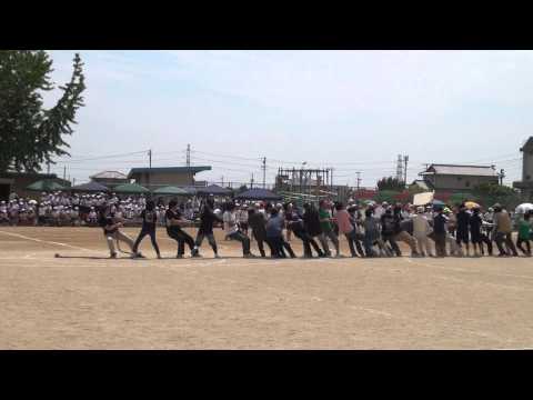 運動会2012綱引き1.MTS