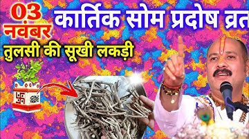 3 नवंबर कार्तिक सोमवार प्रदोष व्रत को तुलसी की सुखी लकड़ी वाला उपाय जरुर करे || Pradeep Ji Mishra
