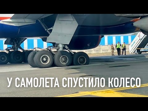 Отменили рейс Аэрофлота Дели - Москва 11.02.2023. Застряли в Дели