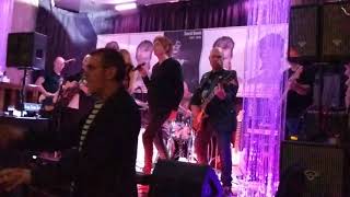 The Sensational David Bowie Tribute Band - Ziggy Stardust