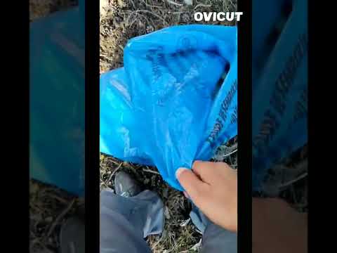 Ankara Kızılcahamam ışık