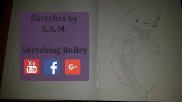 Draw Bailey from Finding Dory