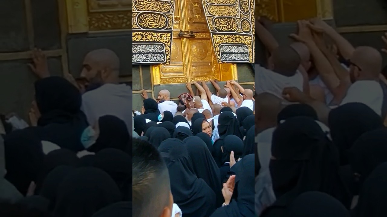 Umrah 0088 | Tawaaf | Hajr e Aswad | Door of Kaaba | Makkah #viewIslam