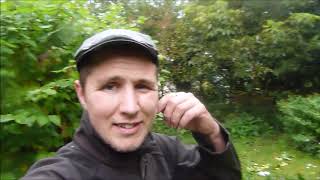 Famous Getting creative with tree/shrub pruning Net Worth