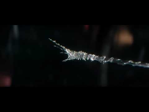 Peter Parker Gwen Stacy Waiting In The Wings Shayne Ward 