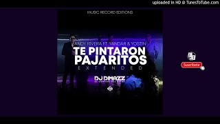 Te Pintaron Pajaritos (Extended) - Dj Dimazz El Control del Ritmo MRE
