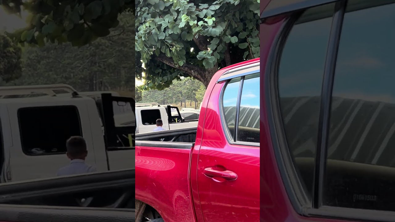 La catracha en Honduras