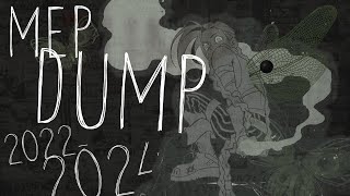 2022 - 2024 | mep dump 3