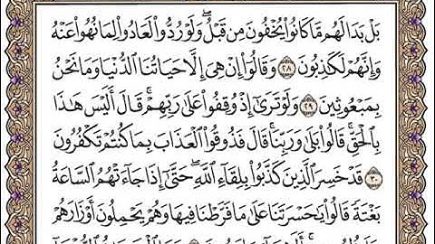 سورة الأنعام كاملة مكتوبة سعد الغامدي بدون اعلانات