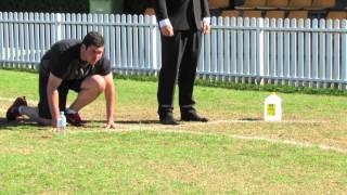 MARK2051 Video - Black and Gold Positive