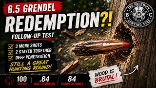 6.5 Grendel REDEMPTION?! Hornady SST Follow-Up Test at 100 Yards