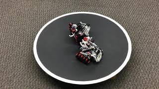 sumobot battles fall19