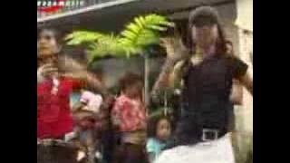 Bugis makassar (bale manre cokie)