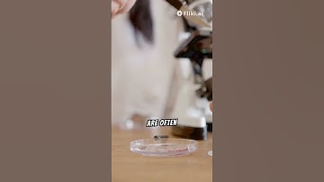 Unleash Your Inner Power: The Ultimate Motivation Guide" #psychologyfacts #motivation