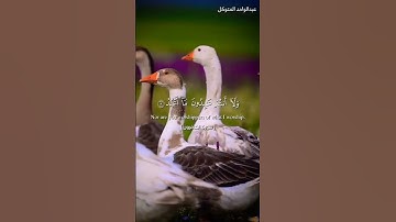 سورة الكافرون  "Surah Al-Kafirun" - بصوتي المتواضع 🎧❤️