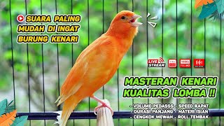 Kenari GACOR‼️ Masteran Burung Kenari PAUD dan Pancingan Kenari MACET BUNYI ( EPISODE 684)