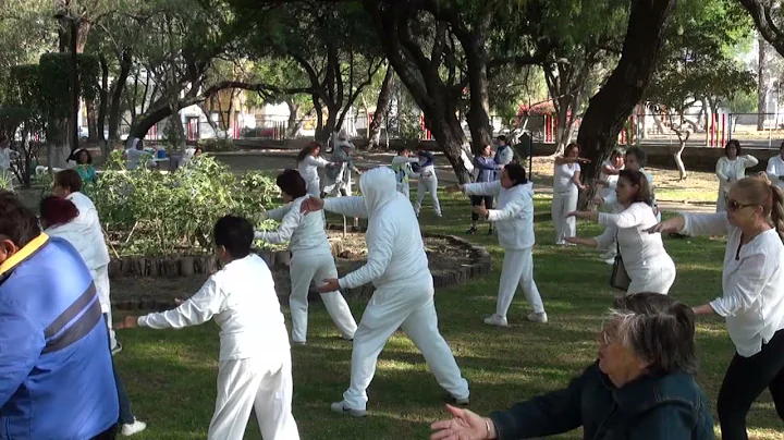 TAI CHI KUNG SHIBASHI 1