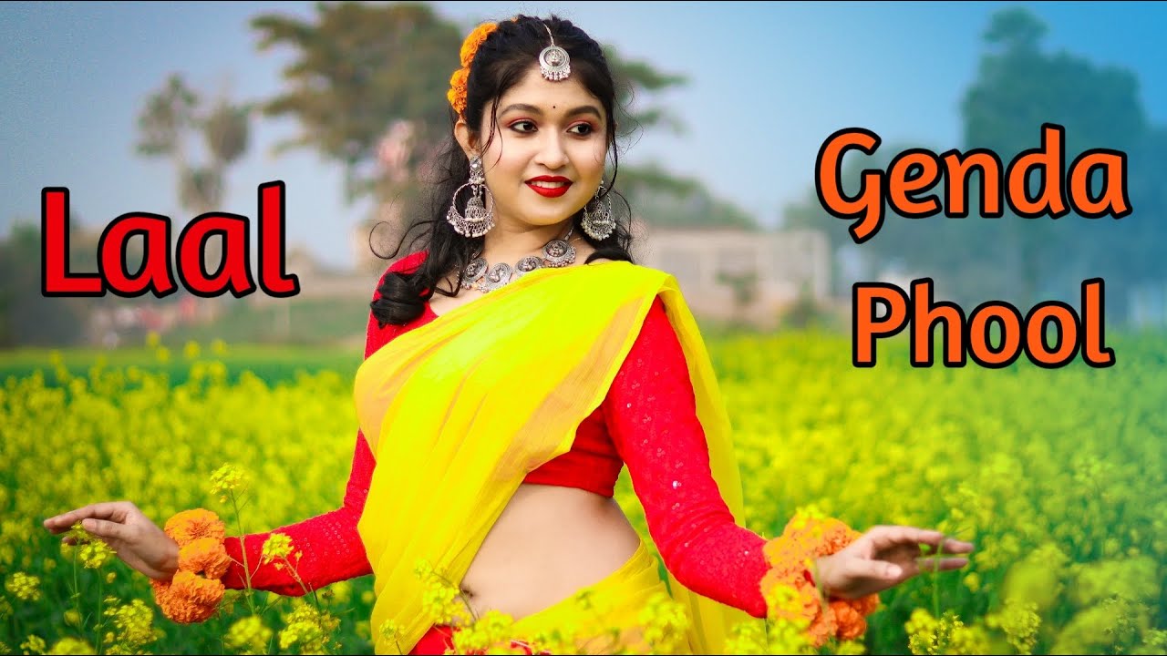 Laal Gaanda Phool Holo Golapi Rate Dance  Bhomrah Bhramar  Bangla Song Dance Dance Star Mou 