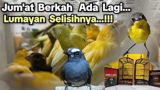 Jum'at Berkah Ada Lagi❗❗❗ Selisihnya Lumayan❗❗❗