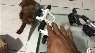 Used Japanese Gl Pedan Contact 0939361536