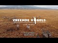 Documentary:  Strange Birds South Africa part 1