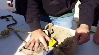 Packing the Parachute - Ricky Palomares - NSLCPP Net Worth