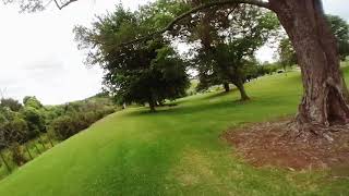 Fpv Tree Flow - Emax Tinyhawk2