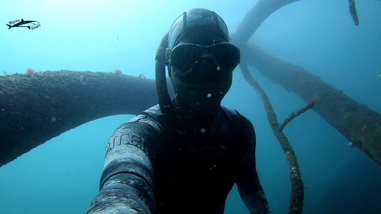 Copacul din Marea Neagra - freediving 12m. marea neagra harta