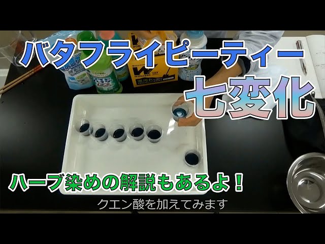 バタフライピーを使ったハーブティー七変化!ハーブ染めもNEW!