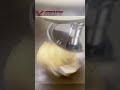 Professional baking equipment, excellent quality.#Doughmixer #minceraft #blender