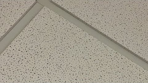 RCIA Class 17: Purgatory and Anointing of the Sick