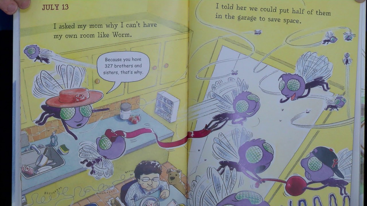 Diary Of A Fly with Mrs  Stein