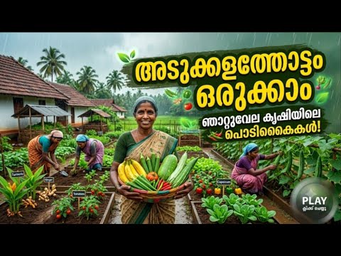 เดเดพเดฑเตเดฑเตเดตเตเดฒ เดเตเดทเดฟ | Njattuvela Krishi |เดชเดดเดฏ เดเดพเดฒเดคเตเดคเต เด เดฐเดนเดธเตเดฏเด | Krishi Master | Kerala Farming