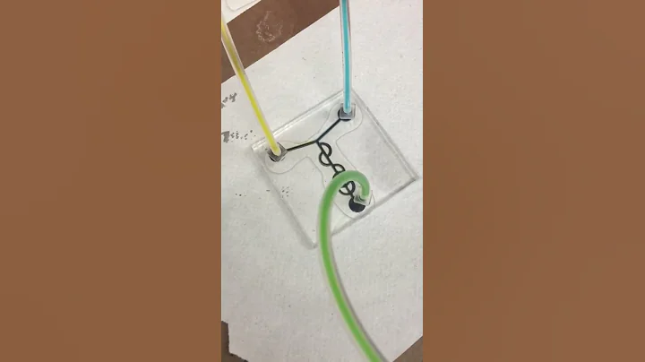 Microfluidic Channel Demonstration
