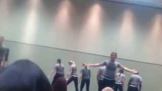 National Fine Arts 2015 Human Video