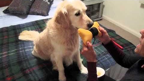 Annie and the Retrieve - backchaining!