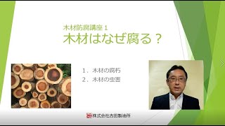 木材防腐講座1　木材はなぜ腐る？