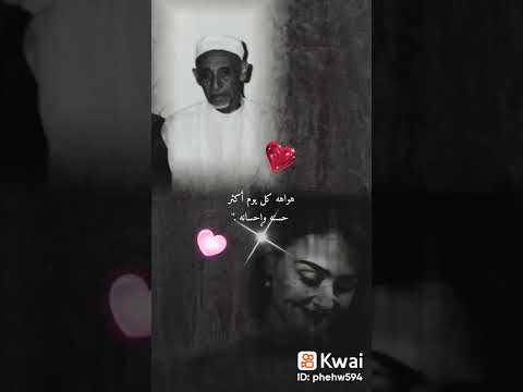 شهد جمل حالة وتساب من اغاني محمد حمود الحارثي 