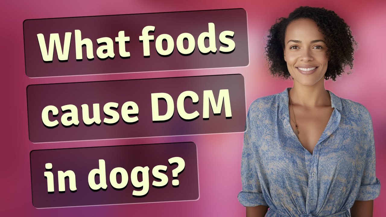 What foods cause DCM in dogs? YouTube